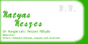 matyas meszes business card